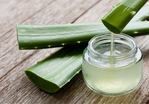 haar-aloe-vera (1) haar-aloe-vera (1)