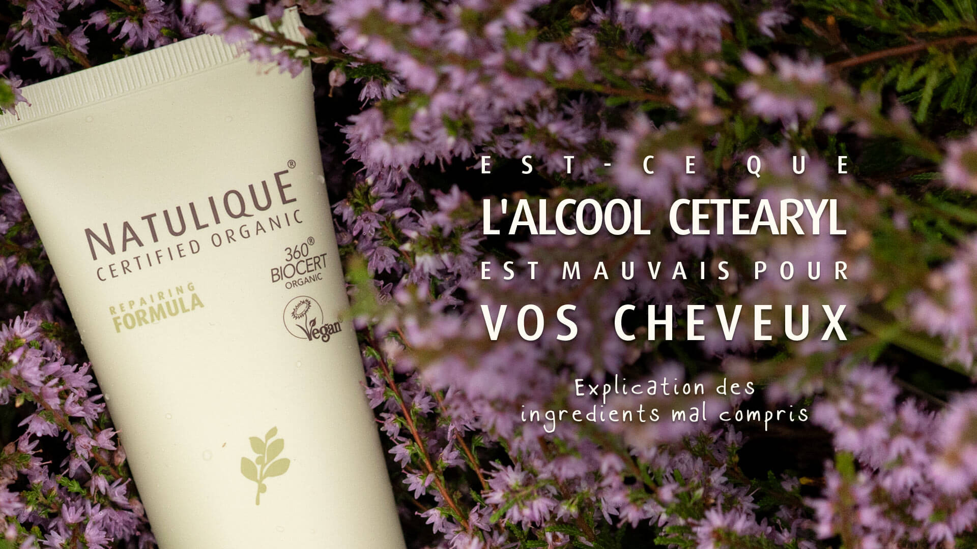 Pflanzenhaarfarbe: Vorteile und Anwendungstipps 3 Färbung 4