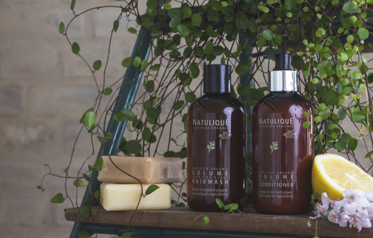 Blog 33 Warum sollte man zu aggressive Shampoos vermeiden?2