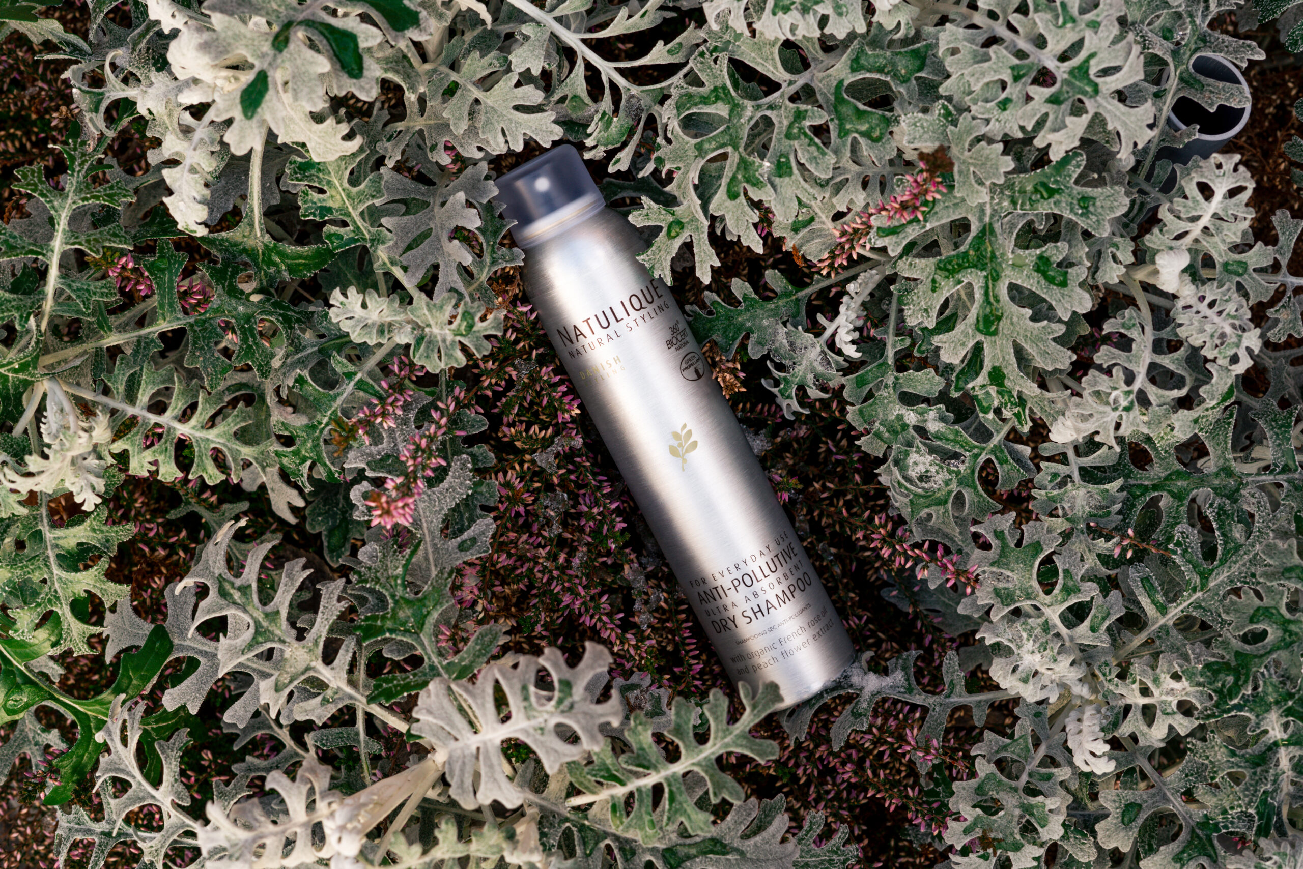 Woher weiß man, ob ein Shampoo für die eigene Kopfhaut geeignet ist? 2 shampoo 10 scaled 1